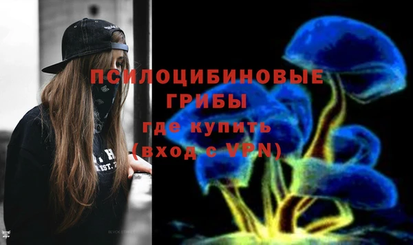 ГАЛЛЮЦИНОГЕННЫЕ ГРИБЫ Козловка