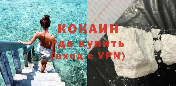 прущие грибы Козельск