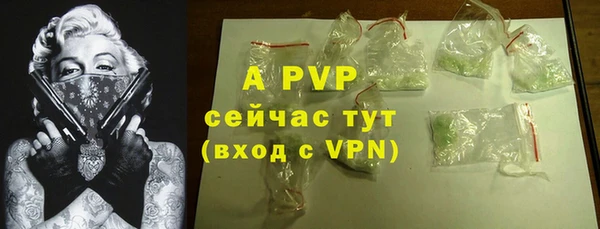 ГАЛЛЮЦИНОГЕННЫЕ ГРИБЫ Козловка