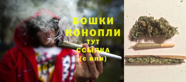 прущие грибы Козельск