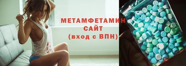 ГАЛЛЮЦИНОГЕННЫЕ ГРИБЫ Козловка