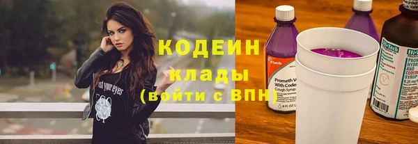 ГАЛЛЮЦИНОГЕННЫЕ ГРИБЫ Козловка