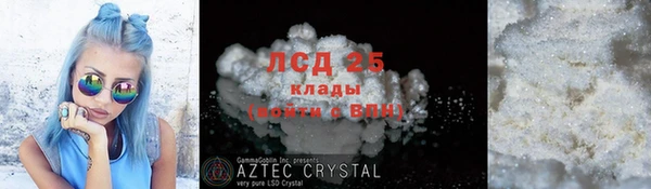 ГАЛЛЮЦИНОГЕННЫЕ ГРИБЫ Козловка