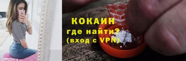 ГАЛЛЮЦИНОГЕННЫЕ ГРИБЫ Козловка