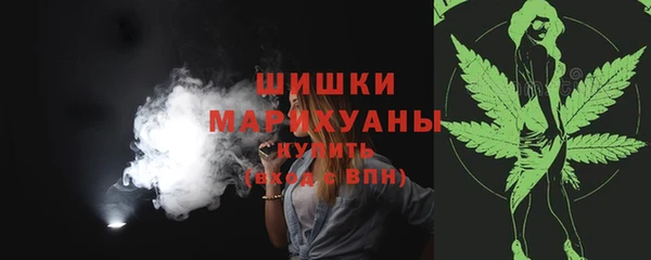 прущие грибы Козельск