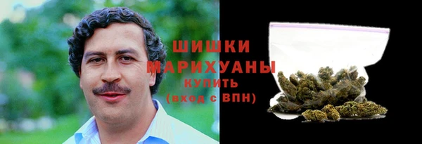 ГАЛЛЮЦИНОГЕННЫЕ ГРИБЫ Козловка