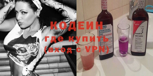 СК Кодинск