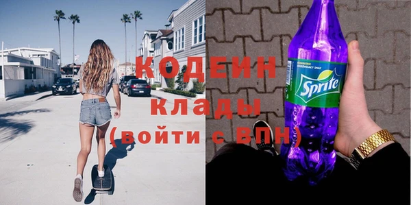 прущие грибы Козельск