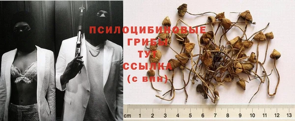 a pvp Корсаков