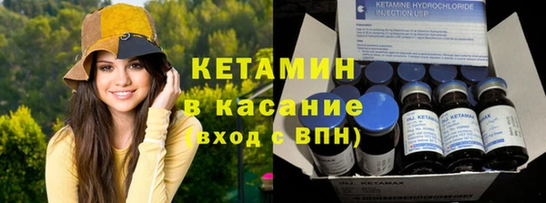 прущие грибы Козельск